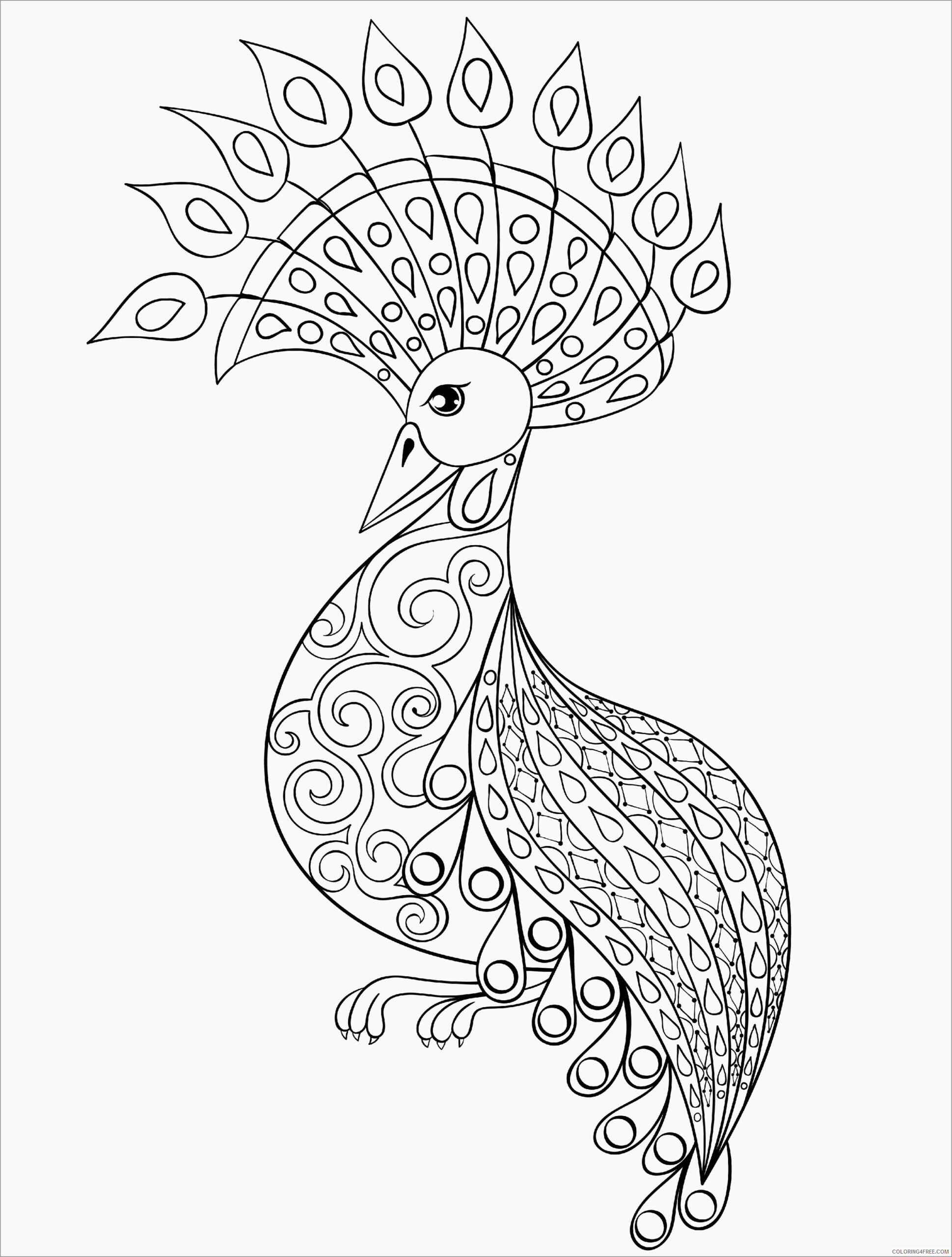 Peacock Coloring Pages Animal Printable Sheets advanced peacock 2021 3745 Coloring4free