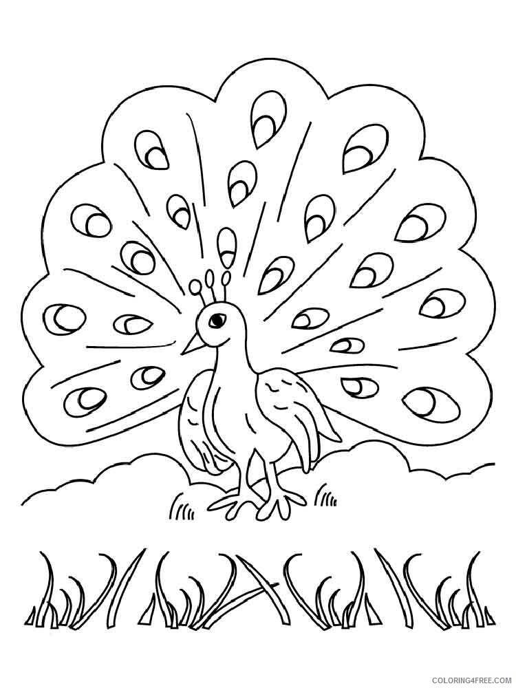 Peacock Coloring Pages Animal Printable Sheets animals peacock 14 2021 3752 Coloring4free