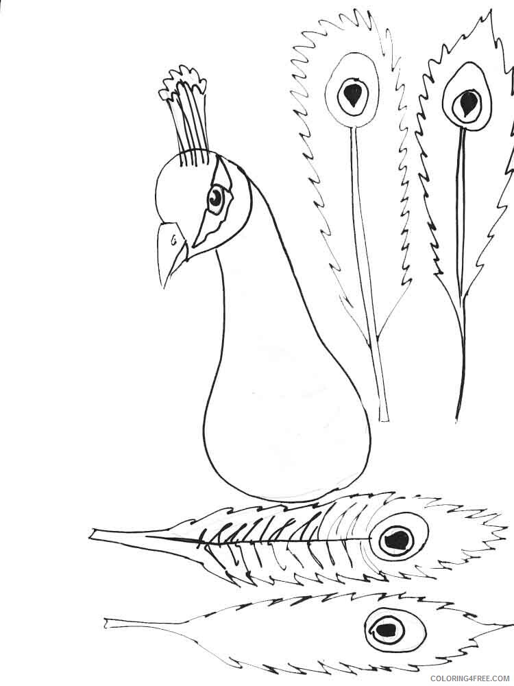Peacock Coloring Pages Animal Printable Sheets animals peacock 7 2021 3754 Coloring4free