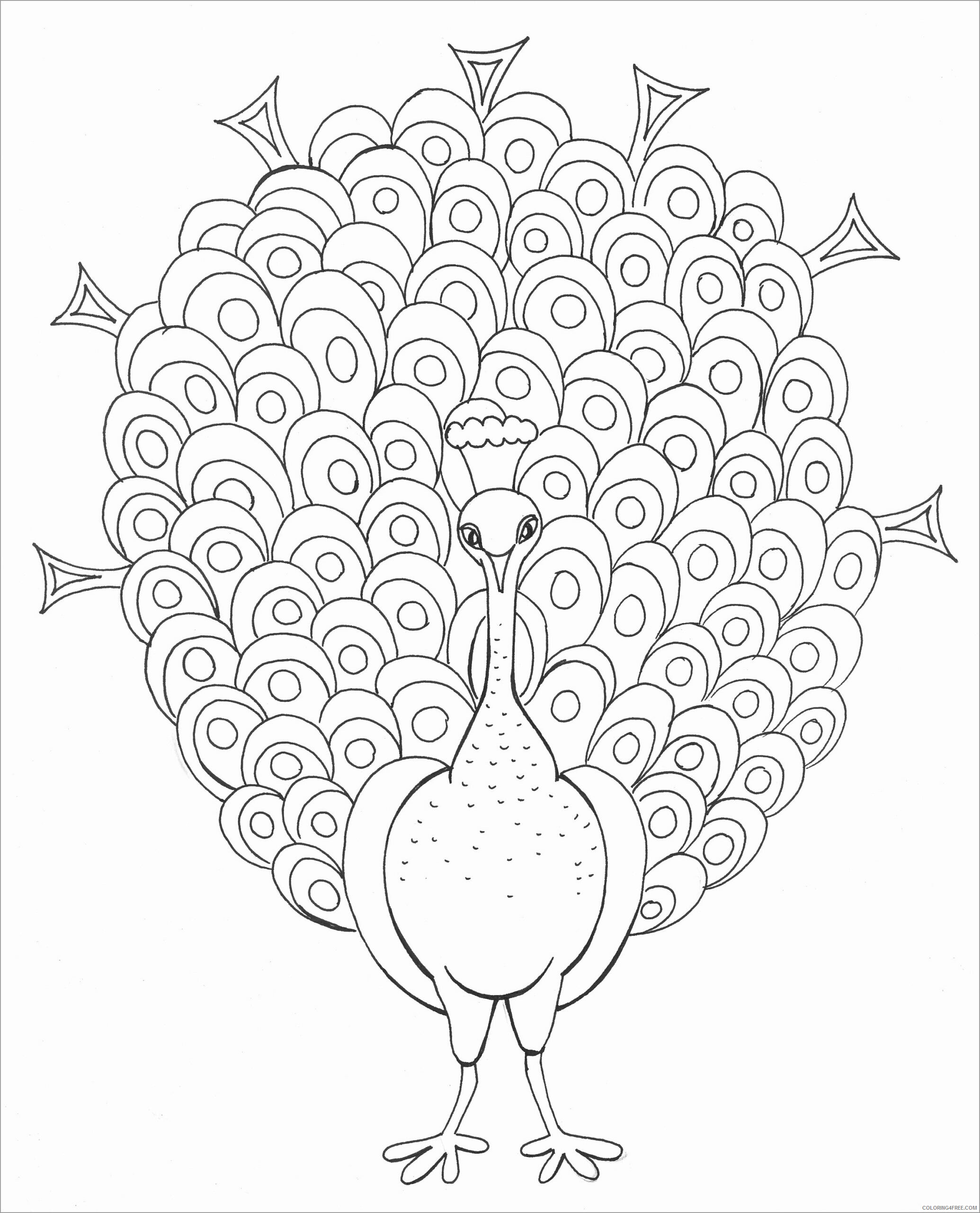 Peacock Coloring Pages Animal Printable Sheets cartoon peacock 2021 3749 Coloring4free