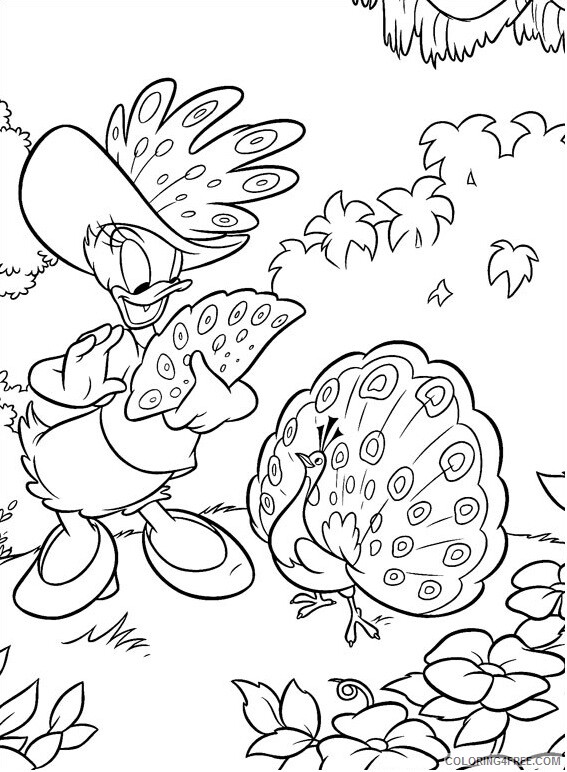 Peacock Coloring Pages Animal Printable Sheets daisy with peacock a4 2021 Coloring4free