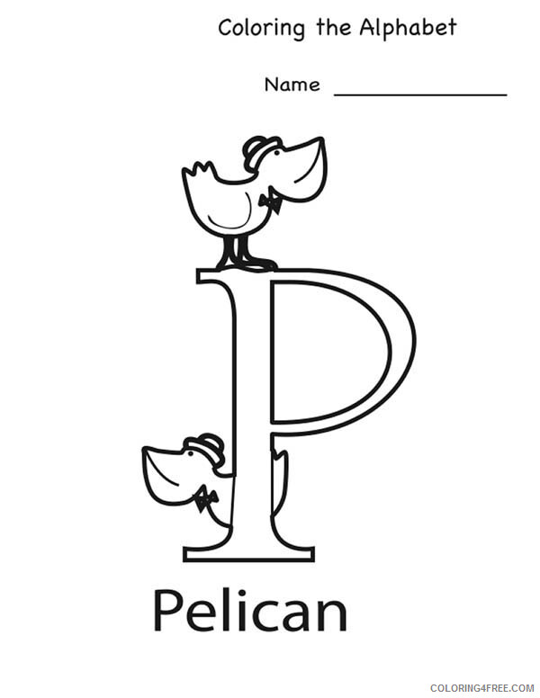 Pelicans Coloring Pages Animal Printable Sheets Alphabet for Pelican 2021 3794 Coloring4free