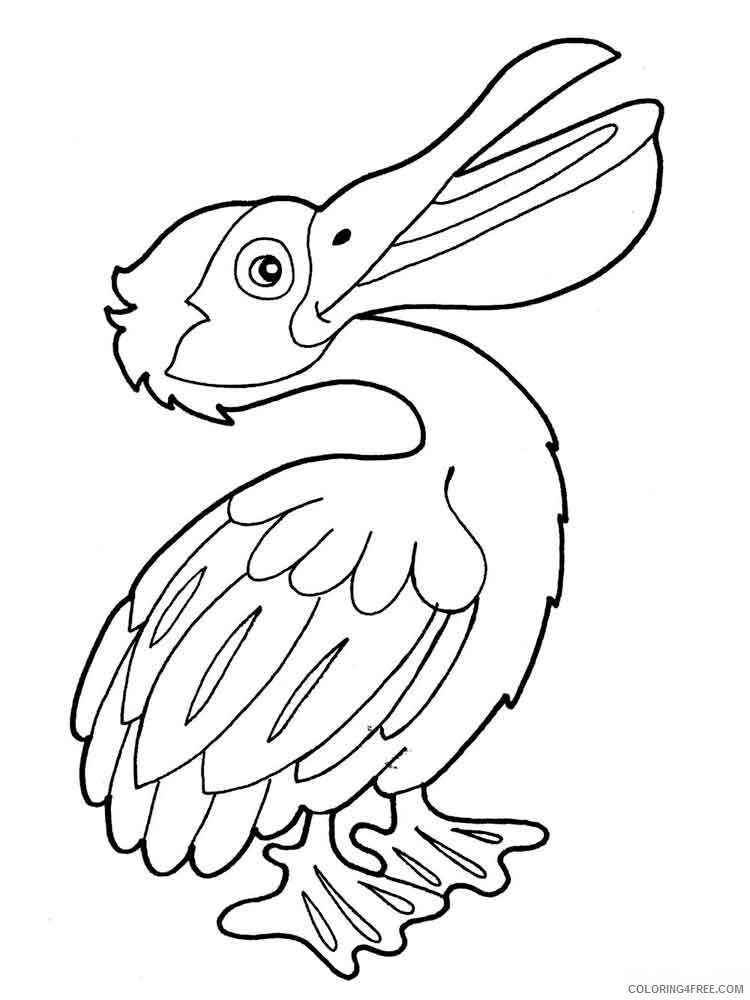 Pelicans Coloring Pages Animal Printable Sheets Pelicans birds 10 2021 3797 Coloring4free