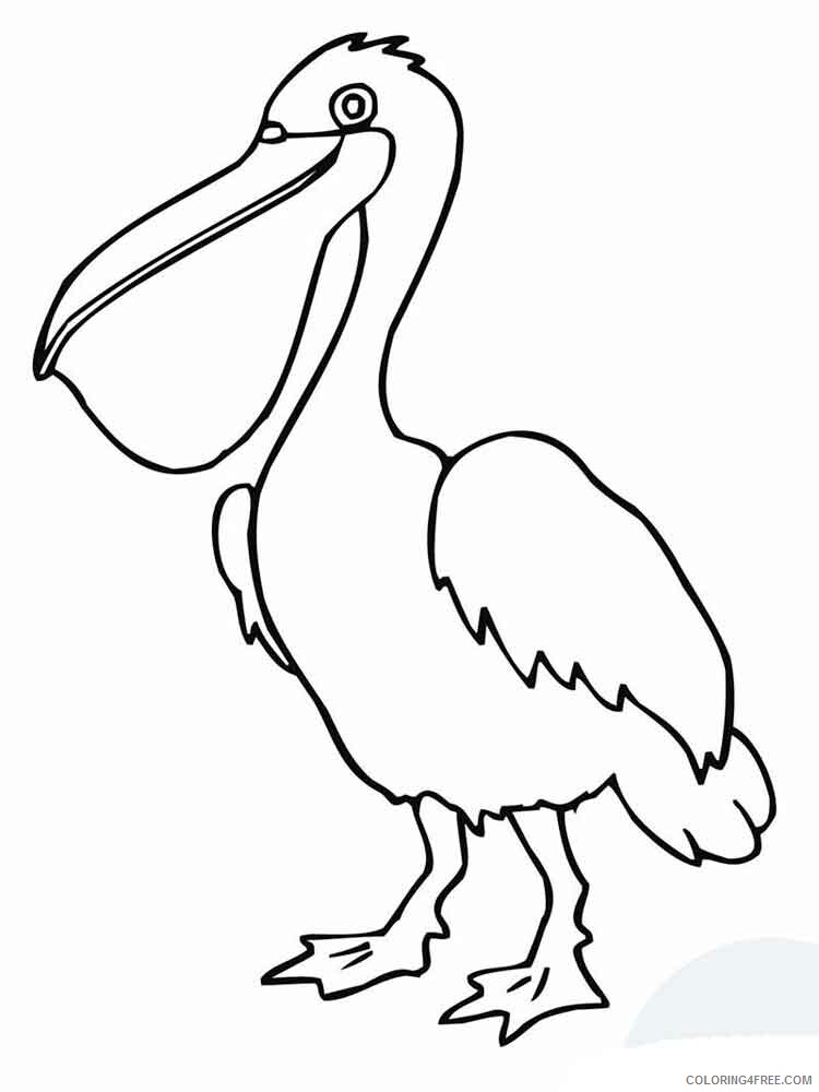 Pelicans Coloring Pages Animal Printable Sheets Pelicans birds 13 2021 3798 Coloring4free