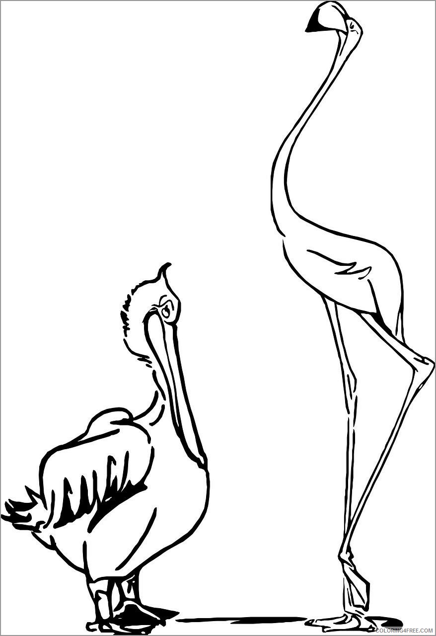 Pelicans Coloring Pages Animal Printable Sheets printable pelicans 2021 3802 Coloring4free