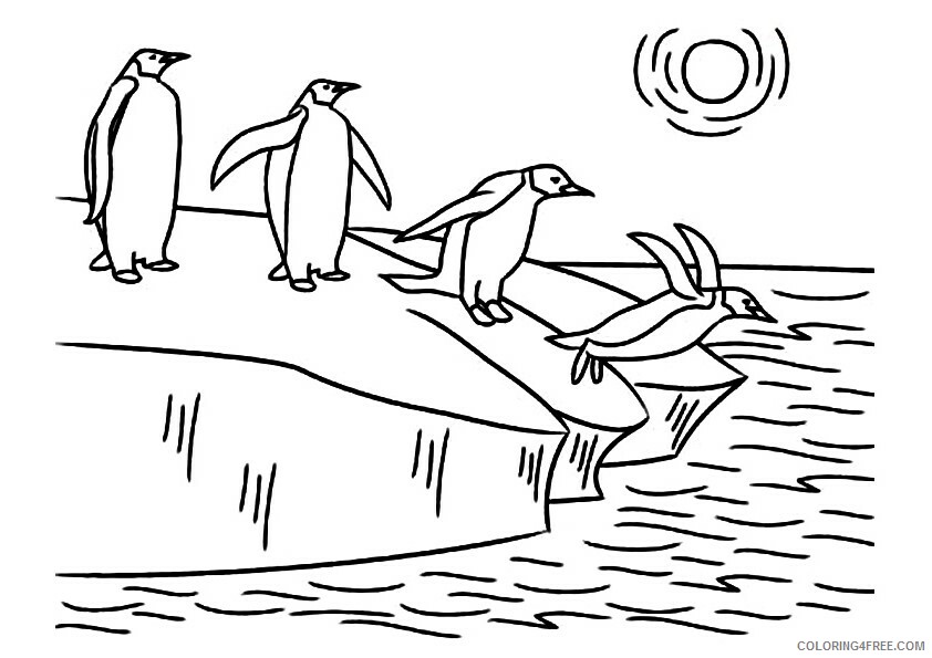 Penguin Animal Coloring Pages Printable 2021 3215 Coloring4free