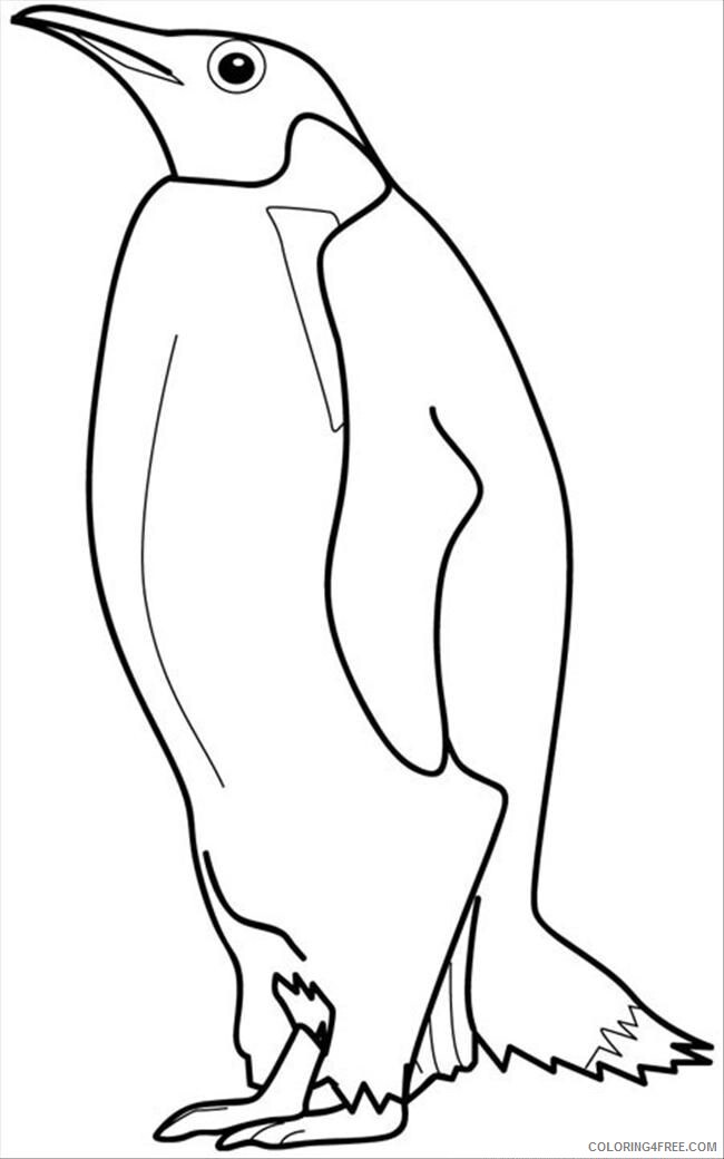 Penguin Animal Coloring Pages Printable 2021 3234 Coloring4free