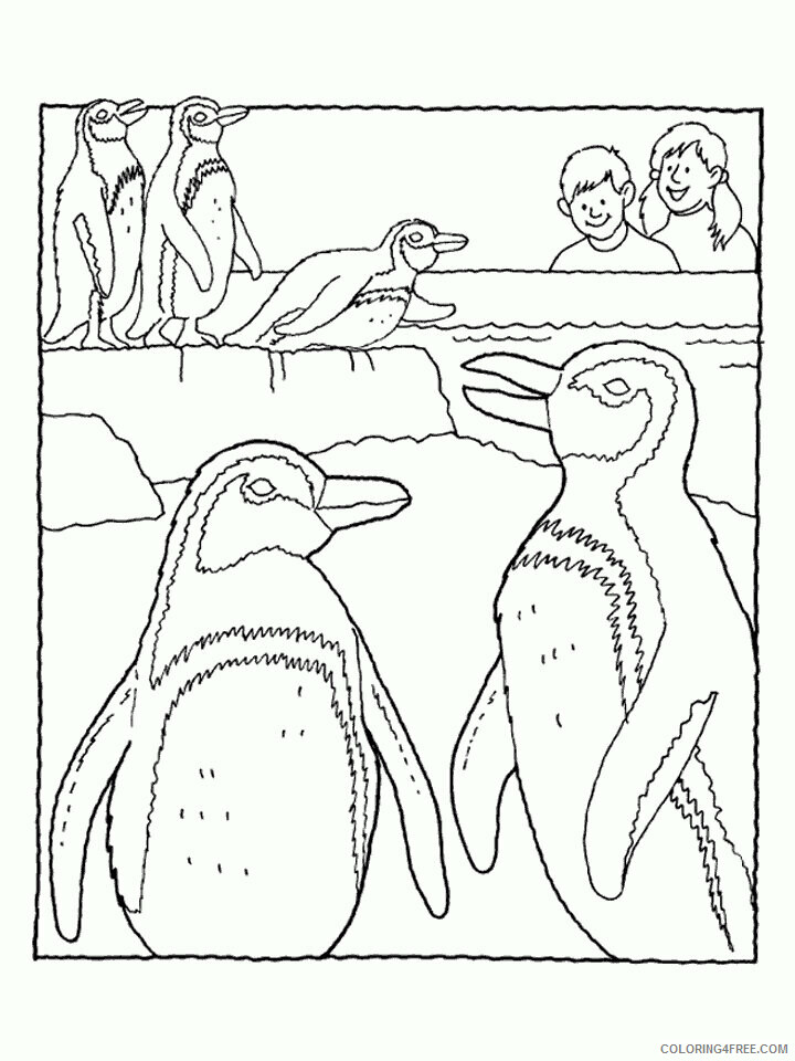 Penguin Animal Coloring Pages Printable 2021 3235 Coloring4free
