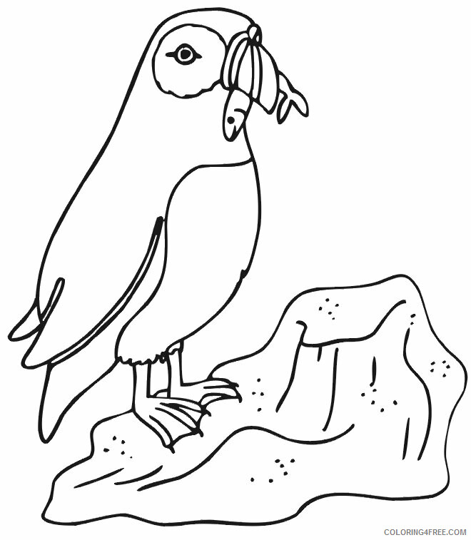 Penguin Animal Coloring Pages Printable 2021 3240 Coloring4free