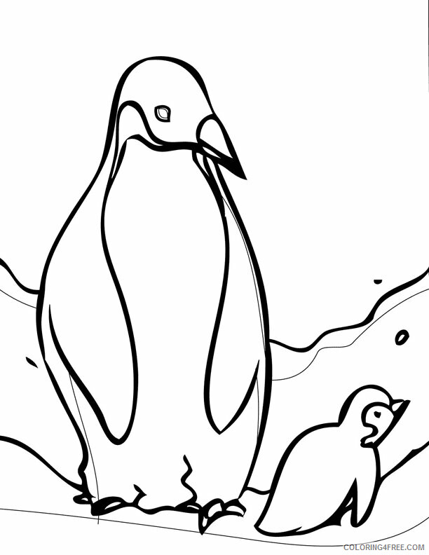 Penguin Animal Coloring Pages Printable 2021 3242 Coloring4free