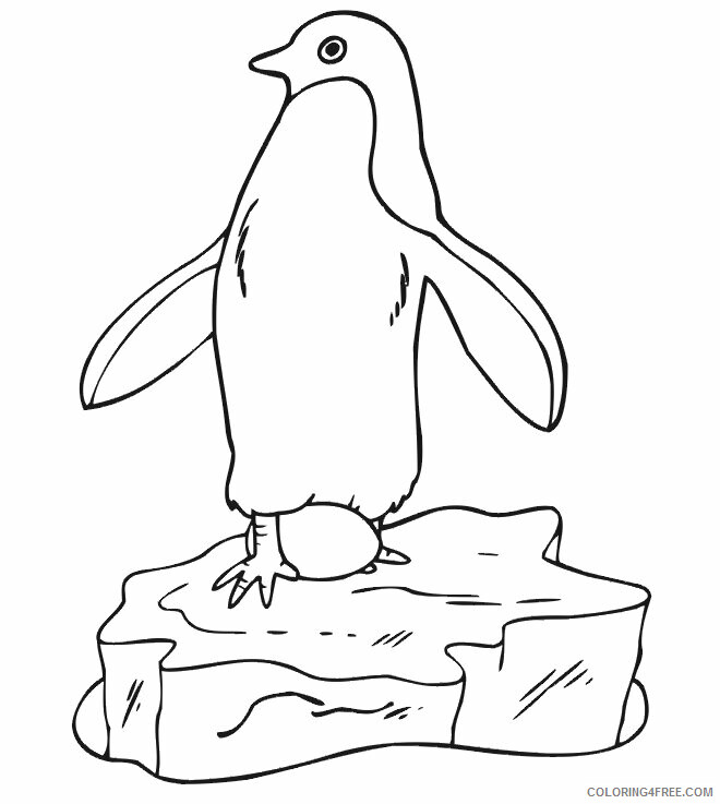 Penguins Coloring Pages Animal Printable Sheets Club Penguin 2021 3814 Coloring4free