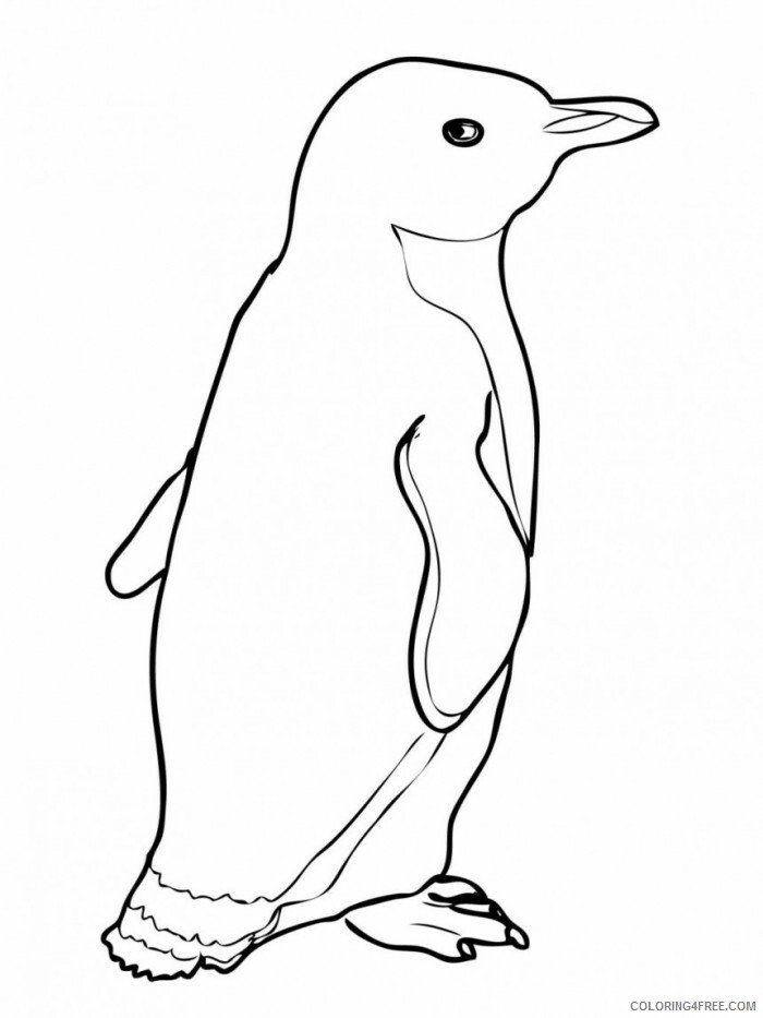Penguins Coloring Pages Animal Printable Sheets Penguins 2021 3818 Coloring4free