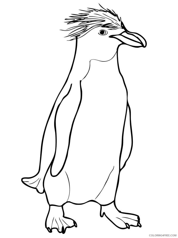 Penguins Coloring Pages Animal Printable Sheets Penguins birds 11 2021 3828 Coloring4free