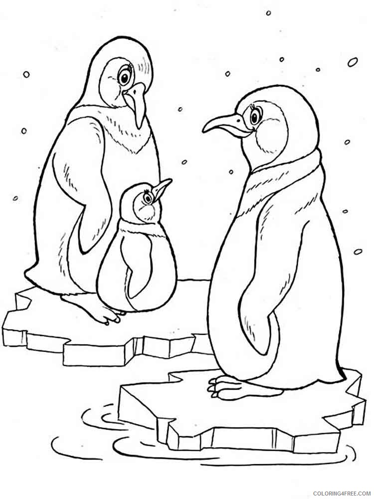 Penguins Coloring Pages Animal Printable Sheets Penguins birds 6 2021 3831 Coloring4free