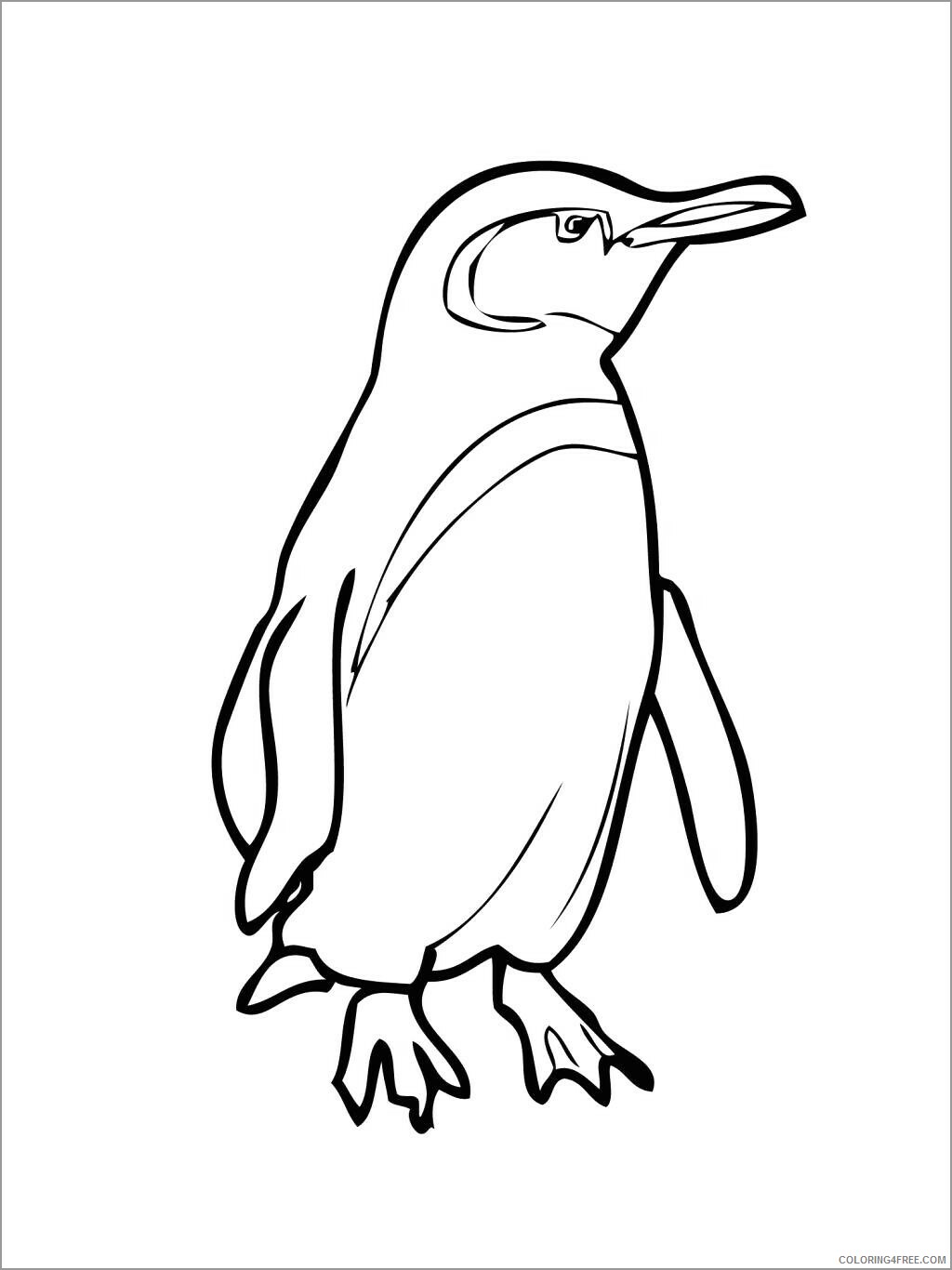 Penguins Coloring Pages Animal Printable Sheets of a penguin 2021 3816 Coloring4free