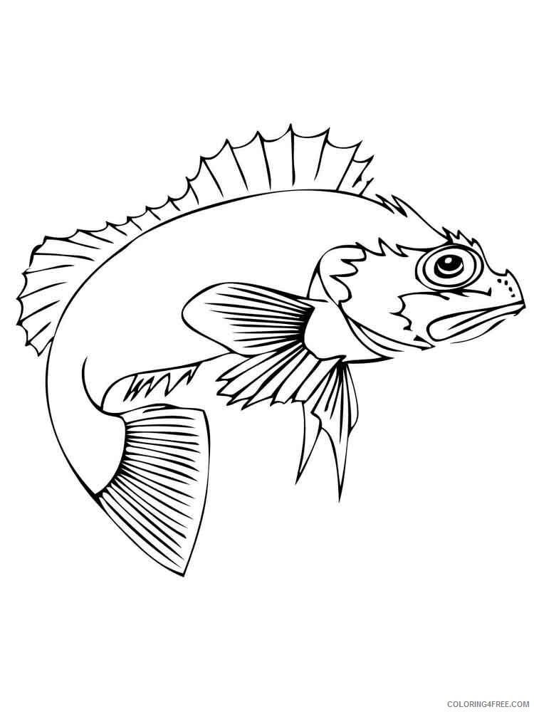 Perch Coloring Pages Animal Printable Sheets Perch 3 2021 3837 Coloring4free
