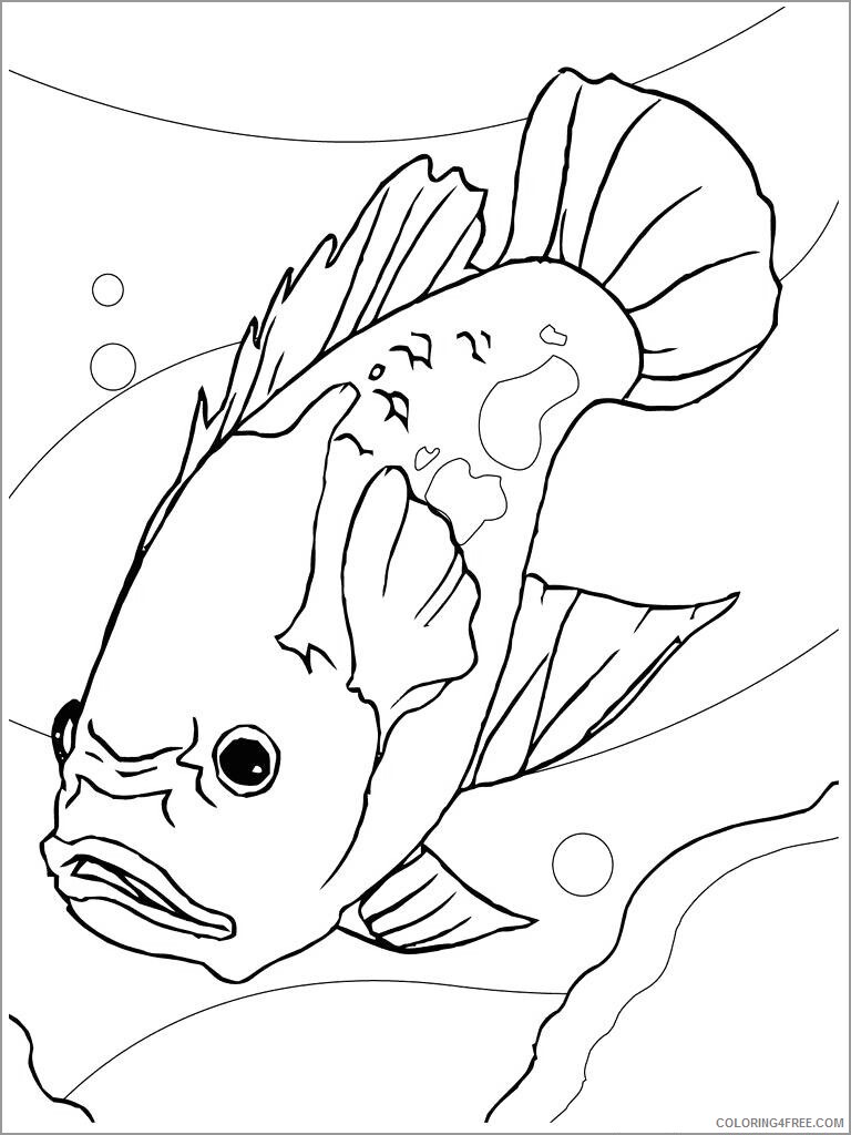 Perch Coloring Pages Animal Printable Sheets printable perch 2021 3838 Coloring4free