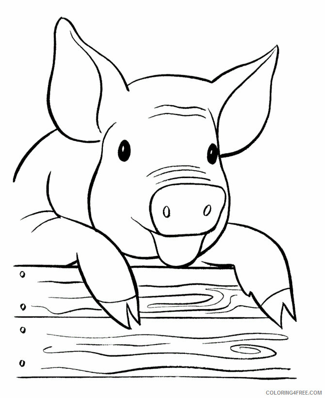 Pig Coloring Pages Animal Printable Sheets Pig 2021 3902 Coloring4free