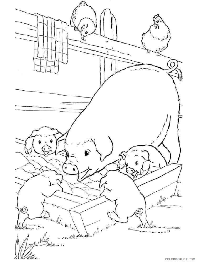 Pig Coloring Pages Animal Printable Sheets animals pig 11 2021 3854 Coloring4free