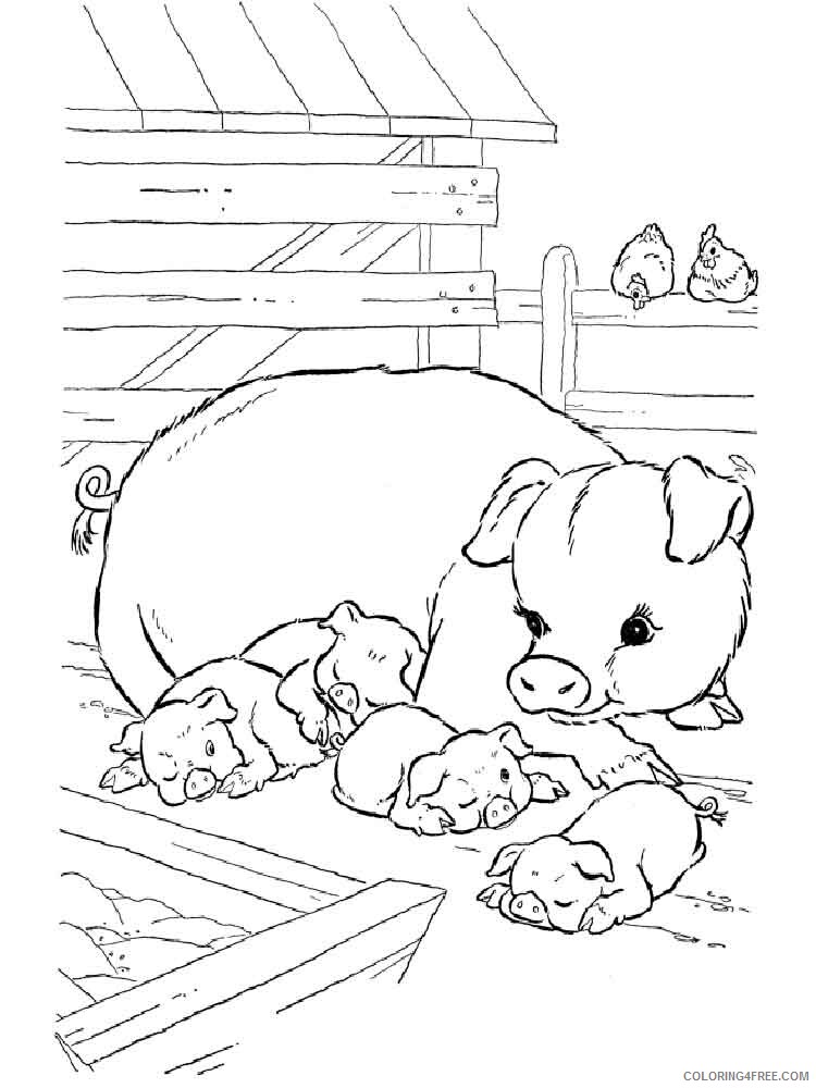 Pig Coloring Pages Animal Printable Sheets animals pig 13 2021 3855 Coloring4free