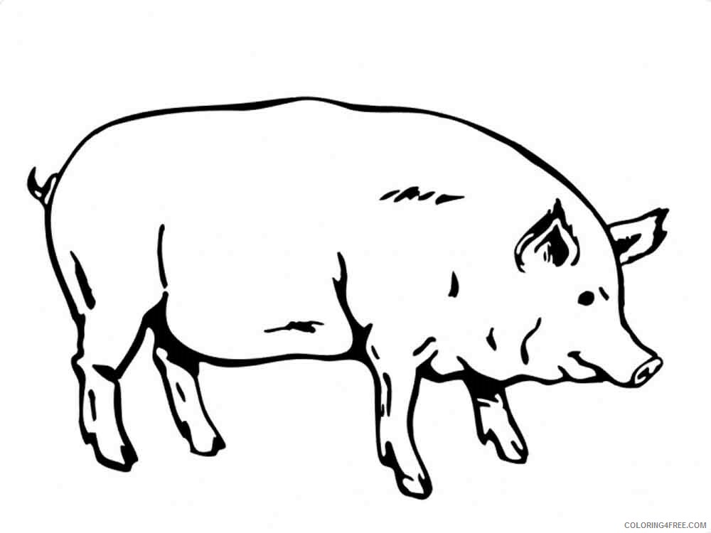 Pig Coloring Pages Animal Printable Sheets animals pig 14 2021 3856 Coloring4free