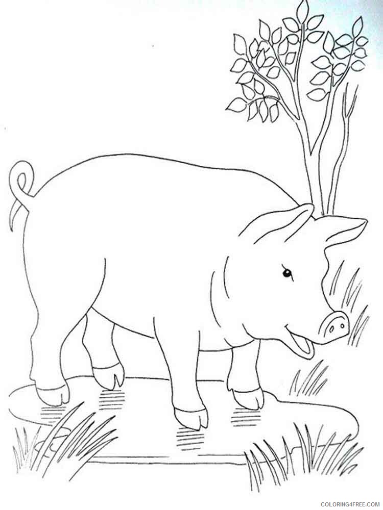 Pig Coloring Pages Animal Printable Sheets animals pig 19 2021 3859 Coloring4free