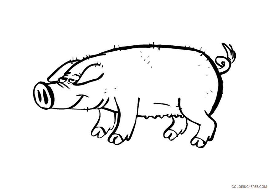Pig Coloring Pages Animal Printable Sheets of Pigs For Kids 2021 3866 Coloring4free