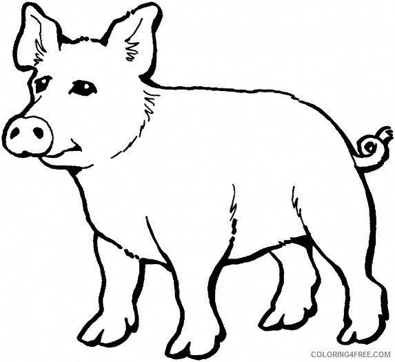 Pig Coloring Pages Animal Printable Sheets pig 4 2021 3896 Coloring4free