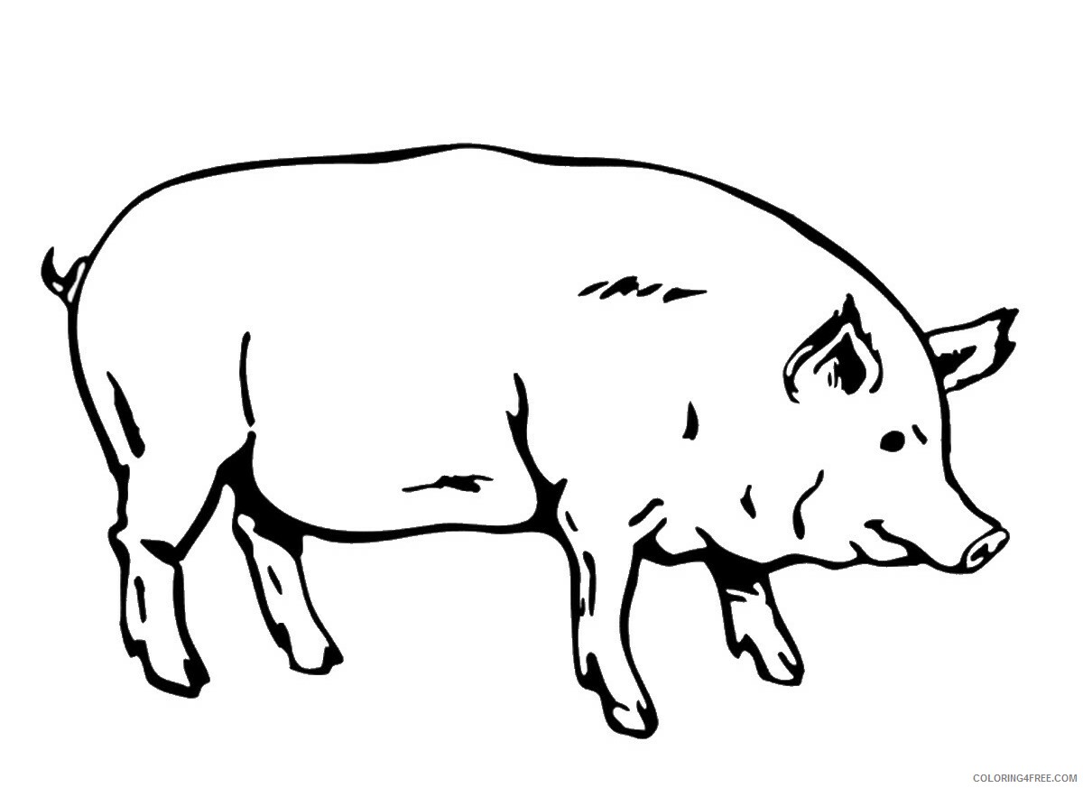 Pig Coloring Pages Animal Printable Sheets pig_cl_05 2021 3888 Coloring4free