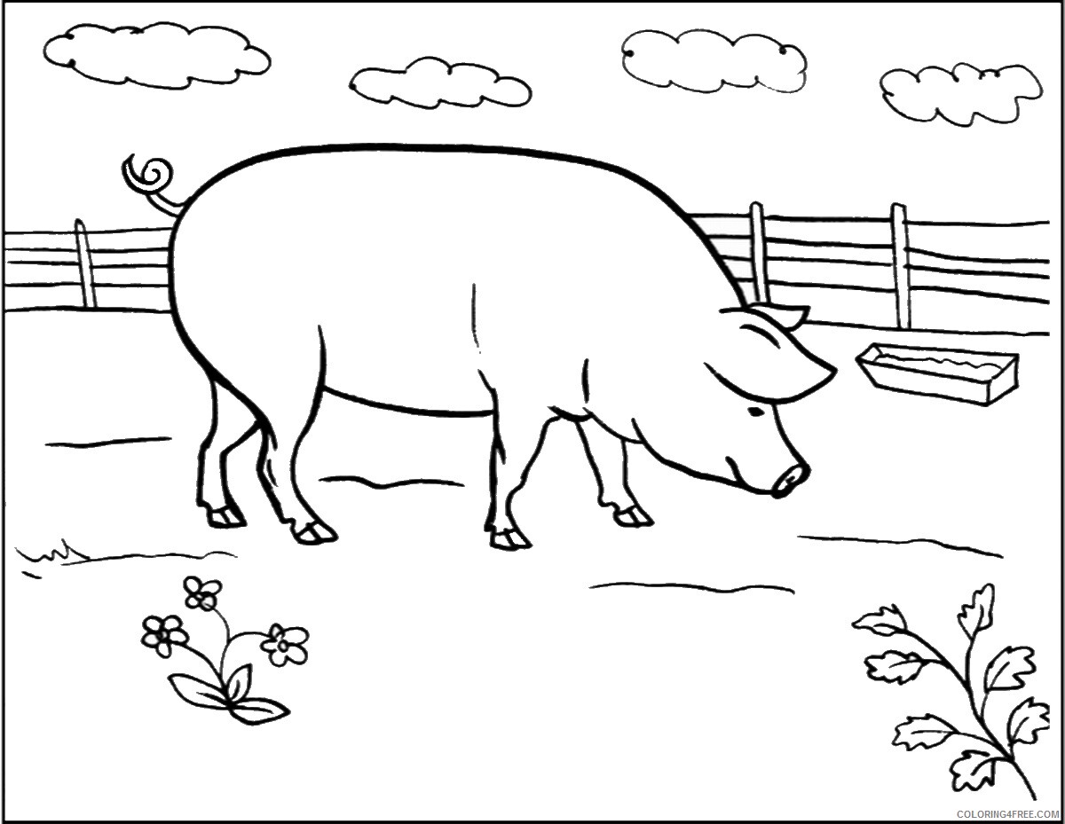 Pig Coloring Pages Animal Printable Sheets pigc1 2021 3901 Coloring4free