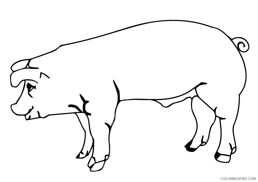 Pig Coloring Sheets Animal Coloring Pages Printable 2021 3277 Coloring4free