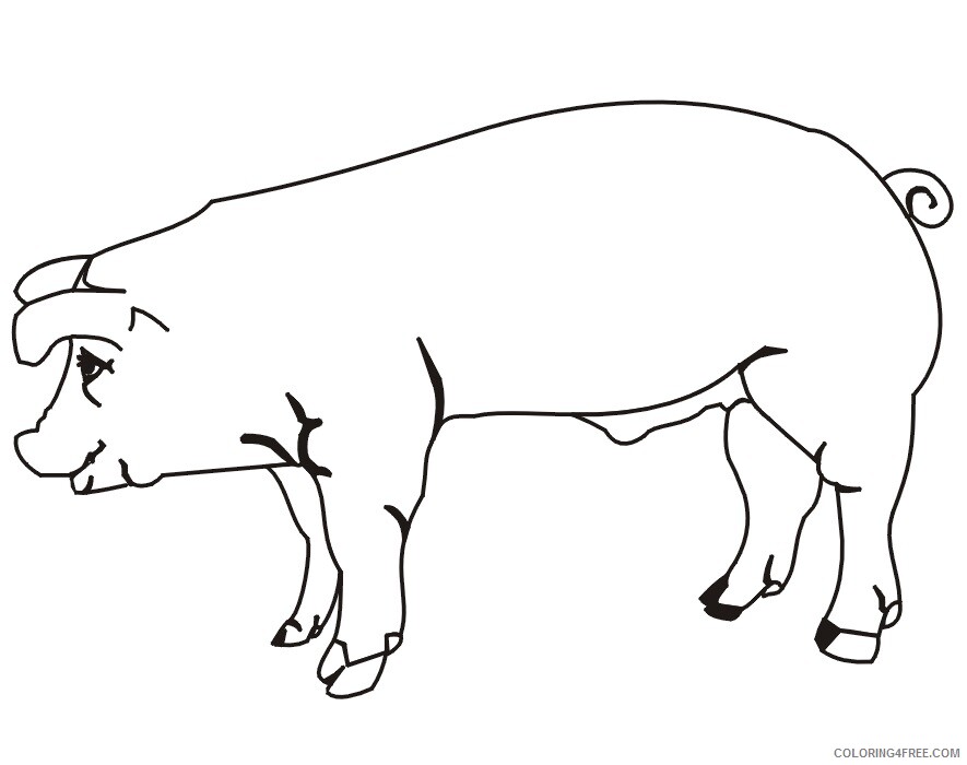 Pig Coloring Sheets Animal Coloring Pages Printable 2021 3310 Coloring4free
