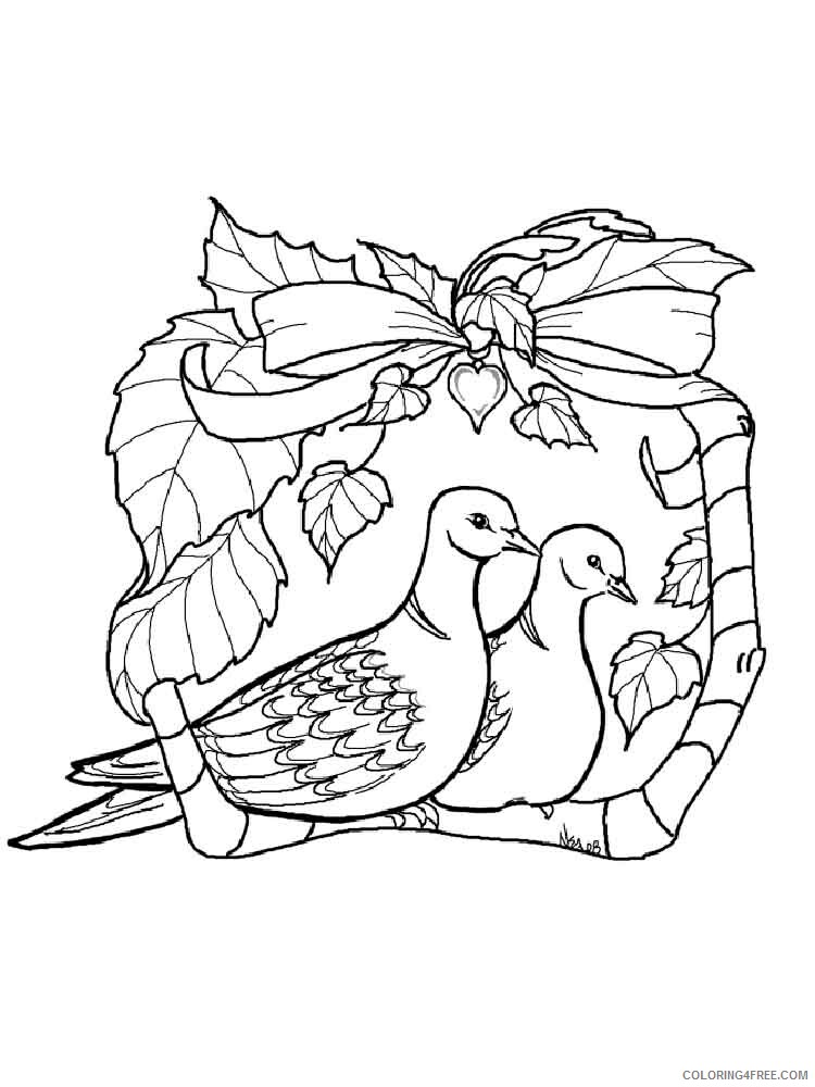 Pigeon Coloring Pages Animal Printable Sheets Pigeon 5 2021 3934 Coloring4free