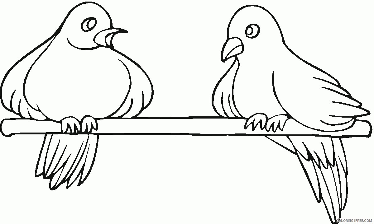 Pigeon Coloring Pages Animal Printable Sheets pigeon_cl_09 2021 3927 Coloring4free