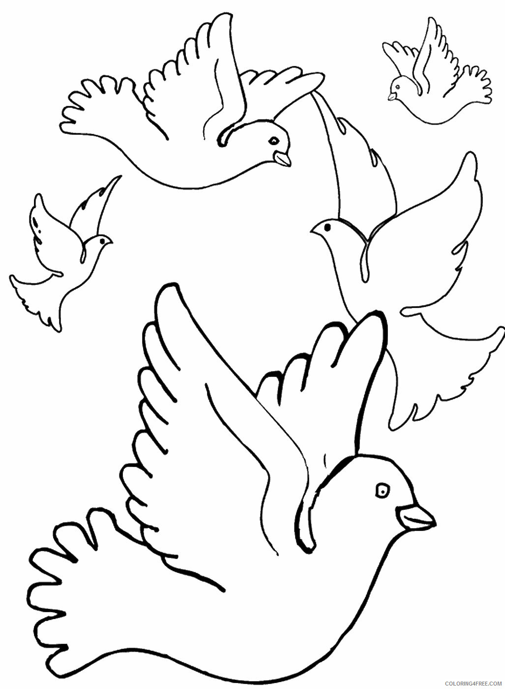 Pigeon Coloring Pages Animal Printable Sheets pigeon_cl_12 2021 3929 Coloring4free