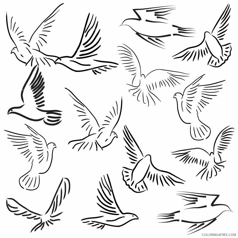 Pigeon Coloring Sheets Animal Coloring Pages Printable 2021 3315 Coloring4free