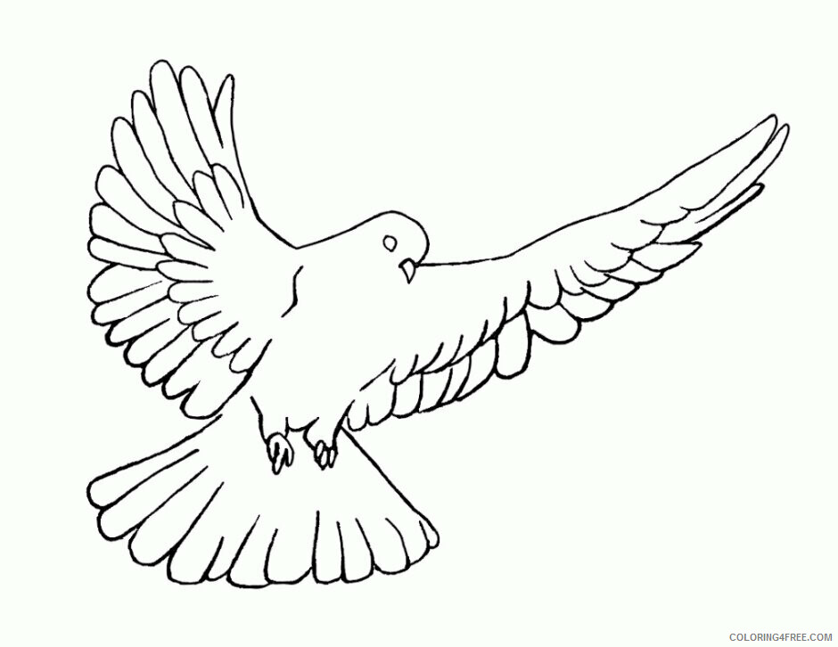 Pigeon Coloring Sheets Animal Coloring Pages Printable 2021 3322 Coloring4free
