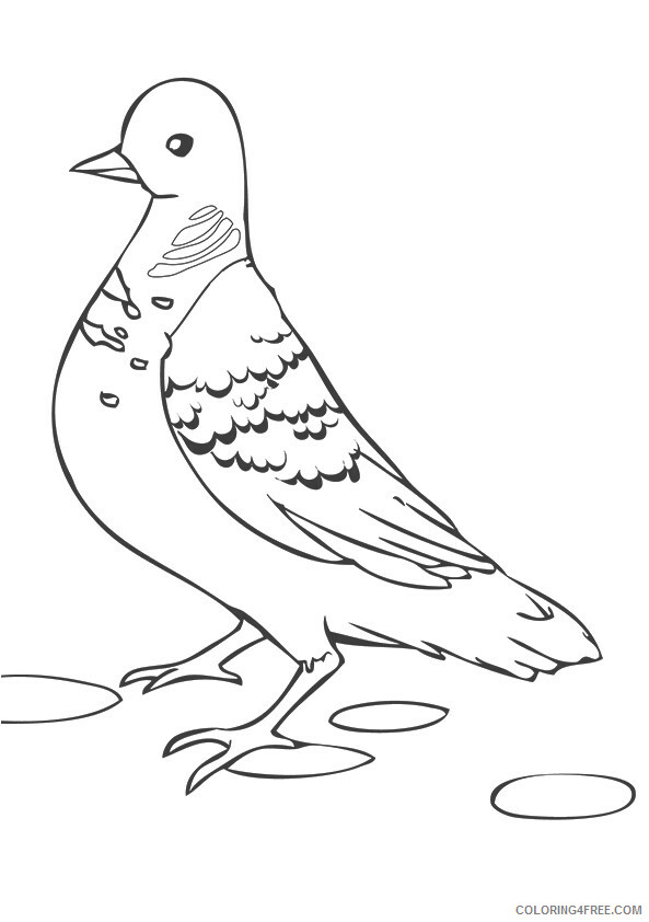 Pigeon Coloring Sheets Animal Coloring Pages Printable 2021 3325 Coloring4free