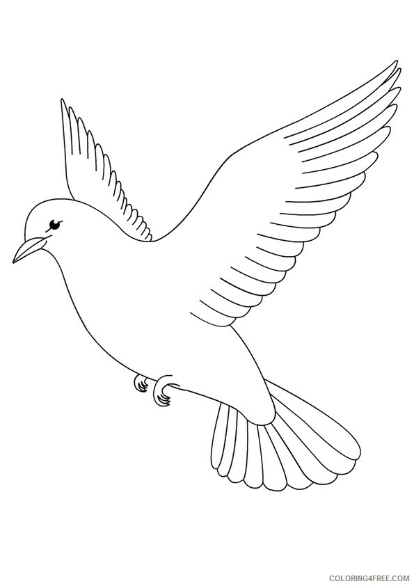 Pigeon Coloring Sheets Animal Coloring Pages Printable 2021 3329 Coloring4free