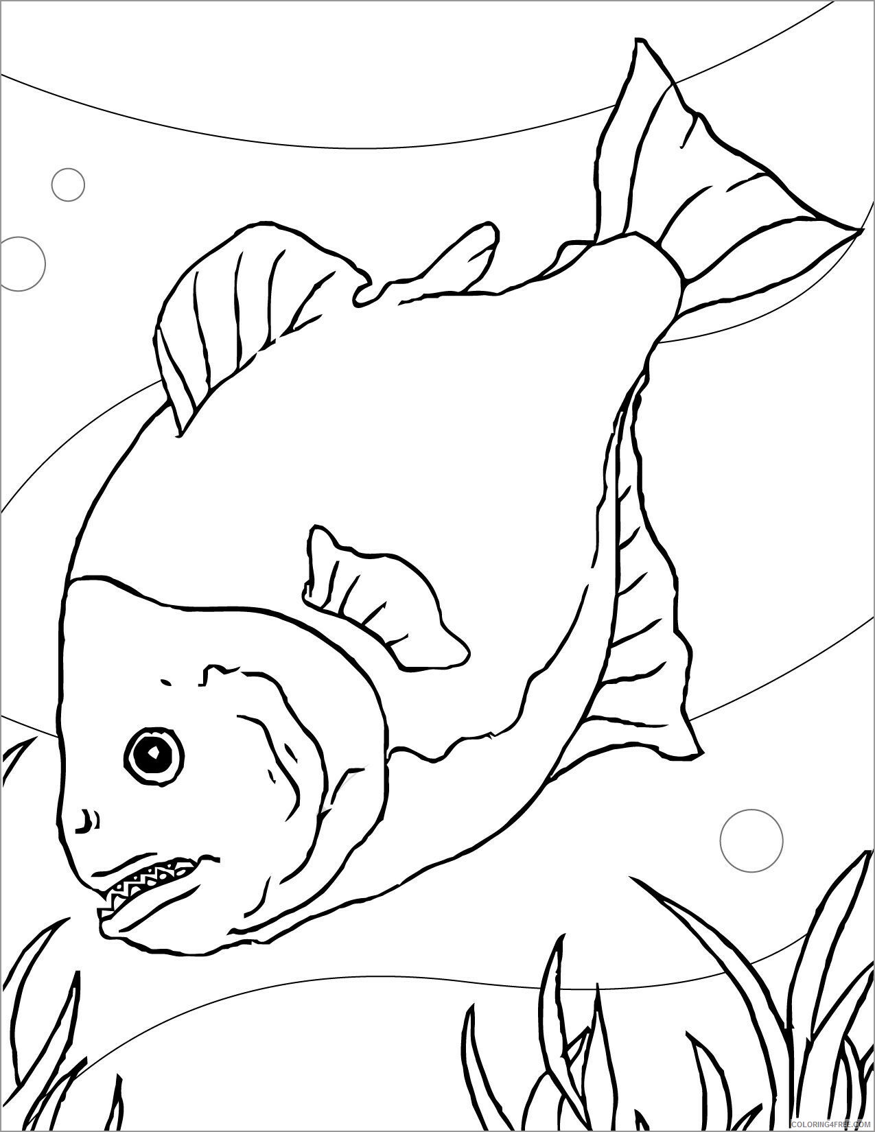 Piranhas Coloring Pages Animal Printable Sheets easy piranha 2021 3943 Coloring4free