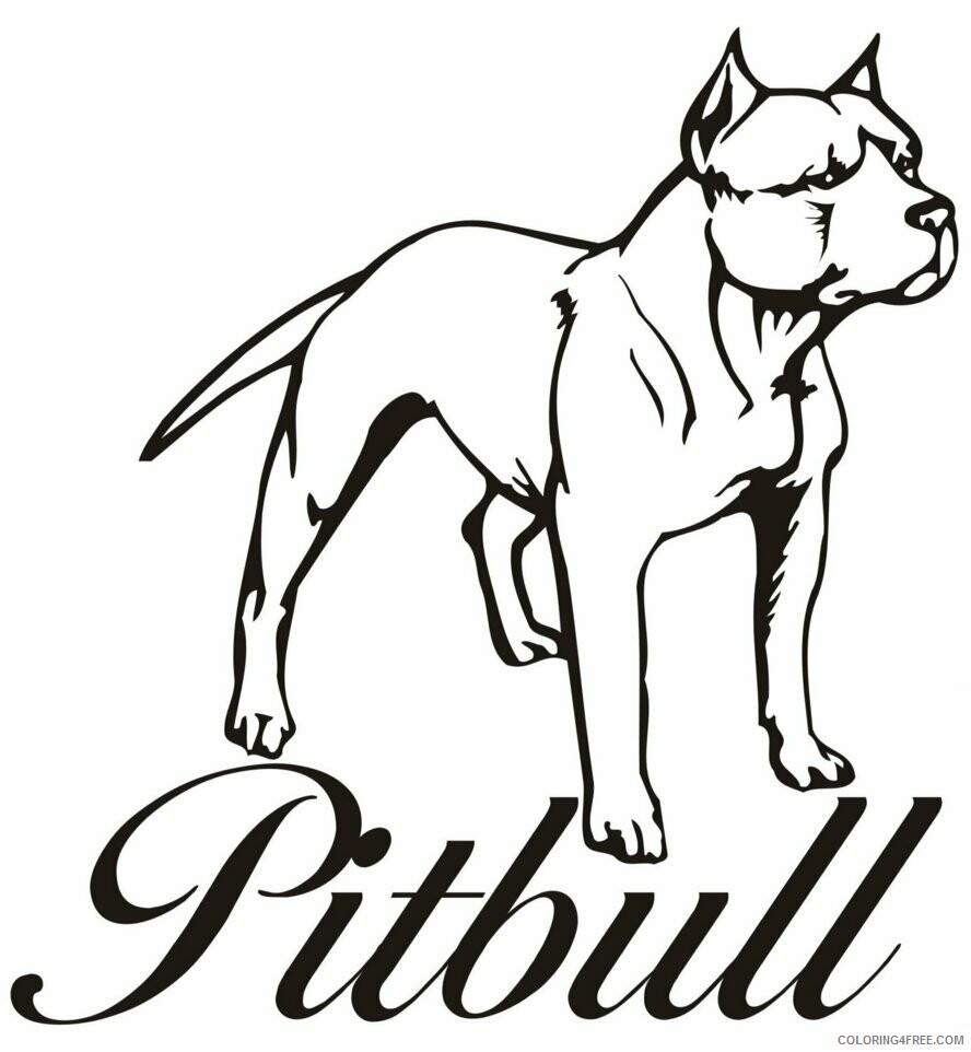 Pitbull Coloring Pages Animal Printable Sheets Pitbull 2021 3949 Coloring4free