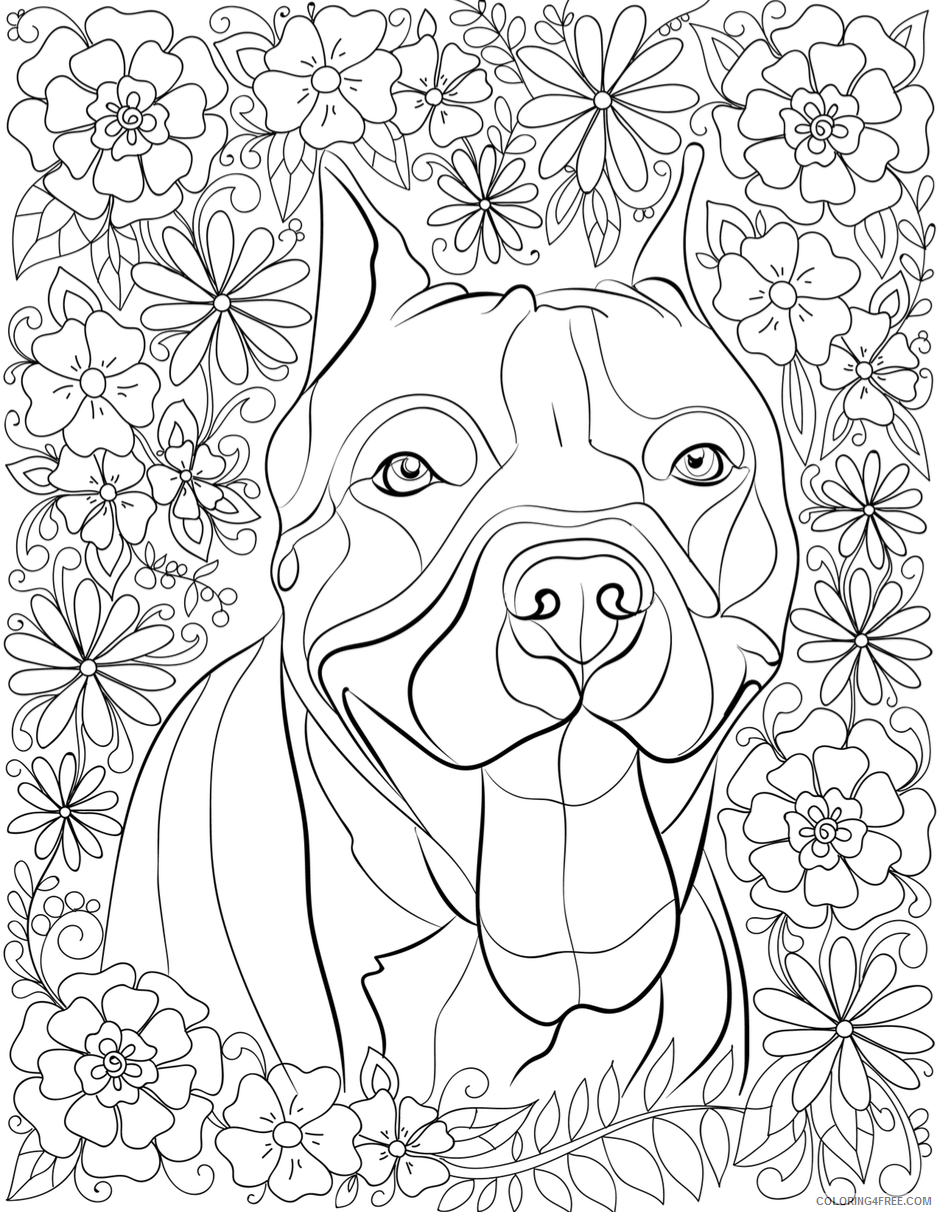 Pitbull Coloring Pages Animal Printable Sheets Pitbull 2021 3951 Coloring4free