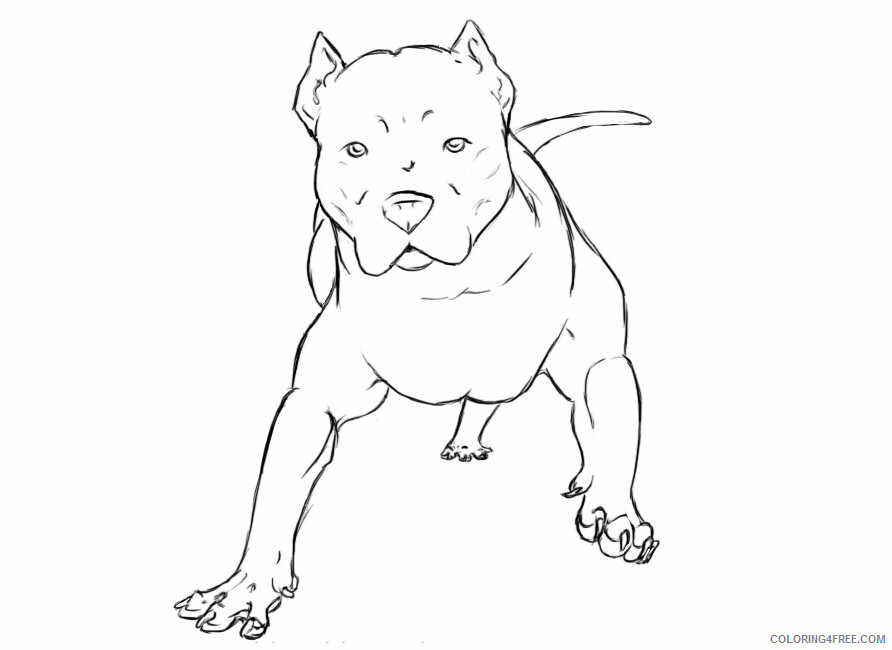 Pitbull Coloring Pages Animal Printable Sheets Pitbull 2021 3958 Coloring4free