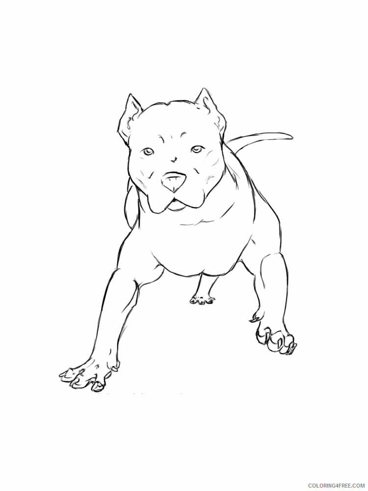 Pitbull Coloring Pages Animal Printable Sheets Pitbull 3 2021 3953 Coloring4free