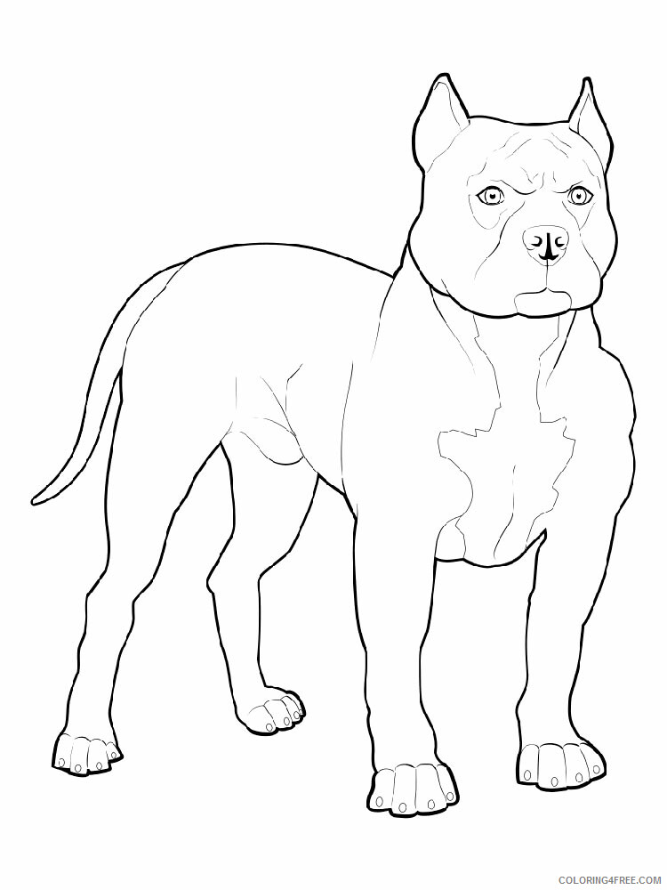 Pitbull Coloring Pages Animal Printable Sheets Pitbull 7 2021 3955 Coloring4free