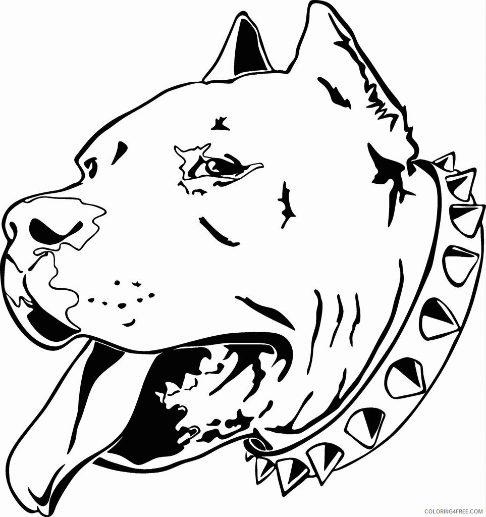 Pitbull Coloring Pages Animal Printable Sheets Pitbull Head 2021 3956 Coloring4free