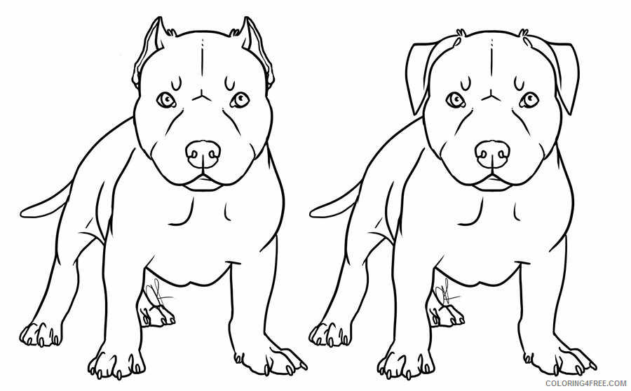 Pitbull Coloring Pages Animal Printable Sheets Pitbull Puppies 2021 3959 Coloring4free