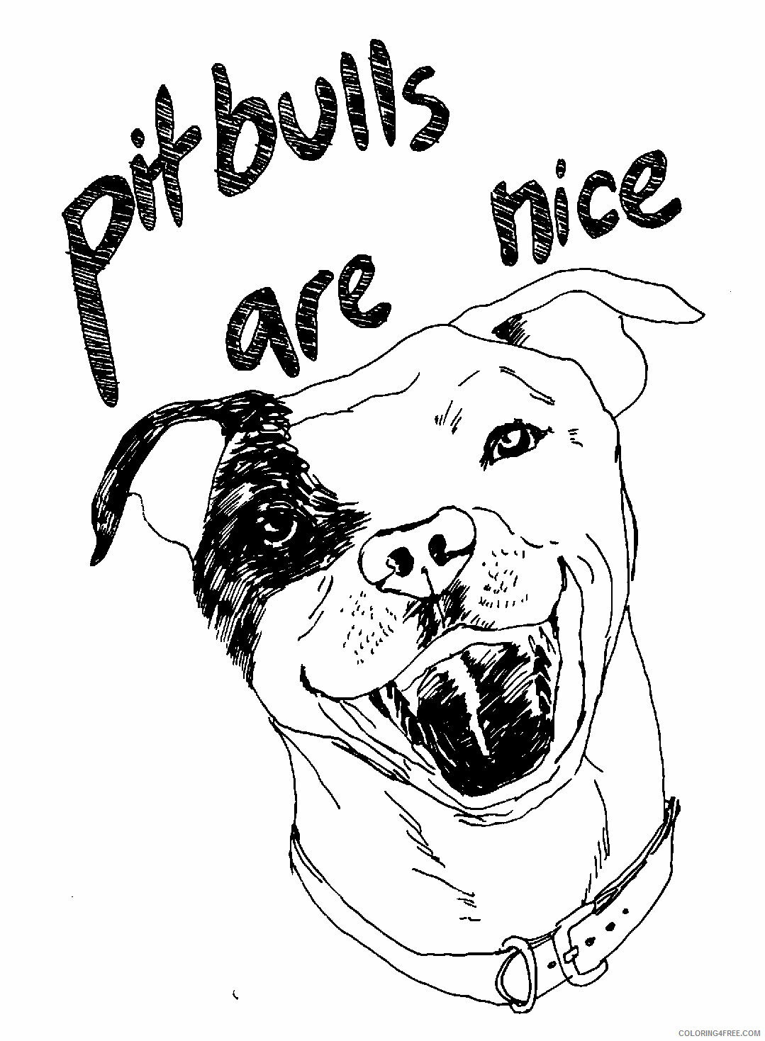 Pitbull Coloring Pages Animal Printable Sheets Pitbulls are Nice 2021 3961 Coloring4free