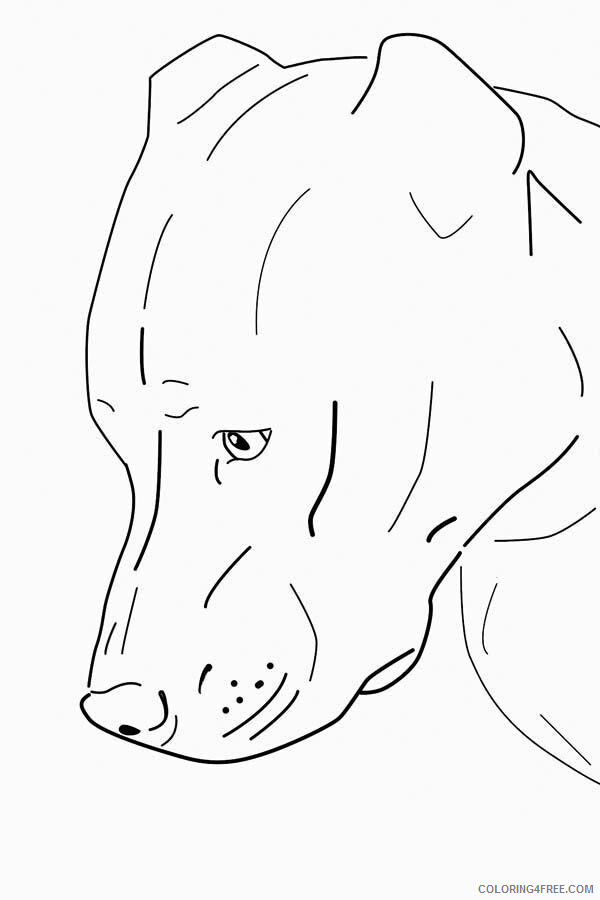 Pitbull Coloring Pages Animal Printable Sheets Sweet Pitbull 2021 3965 Coloring4free