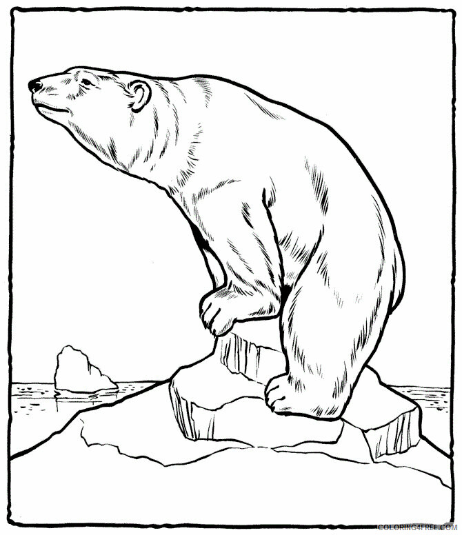 Polar Bear Coloring Pages Animal Printable Sheets Polar Bear 2021 3967 Coloring4free